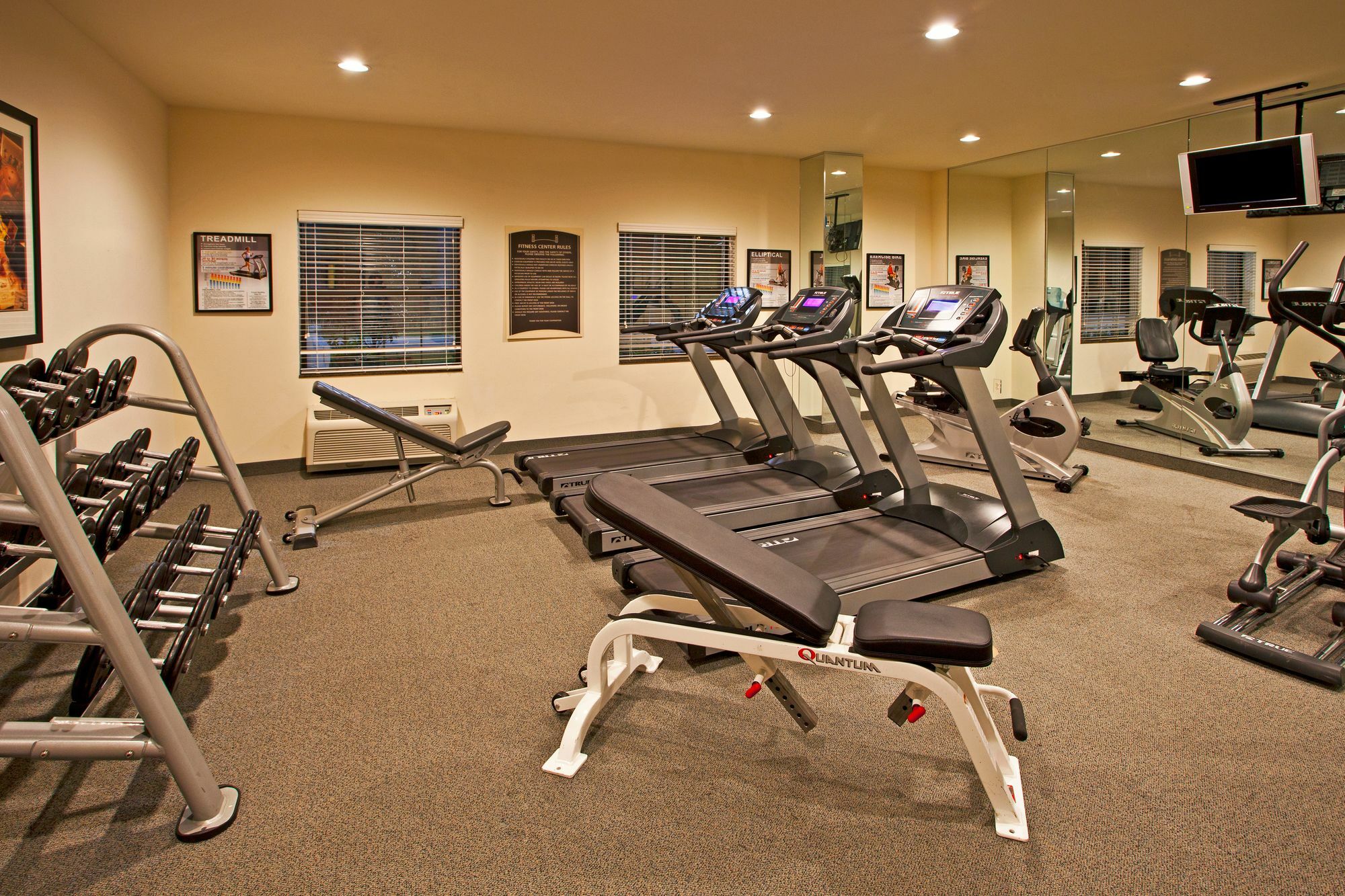 Staybridge Suites Tampa East- Brandon By Ihg Mango Dış mekan fotoğraf
